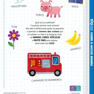 100 Primeiras Palavras Sobre O Nosso Mundo-9786526120842-46618