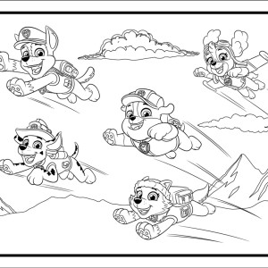 Patrulha Canina - Comfy And Cozy Cards-9786526125335-72664