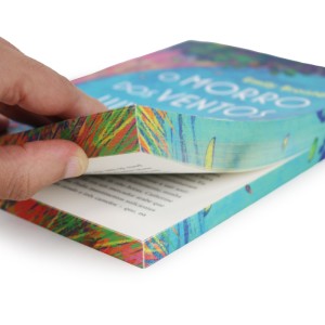 O Morro Dos Ventos Uivantes-9786550973117-31245