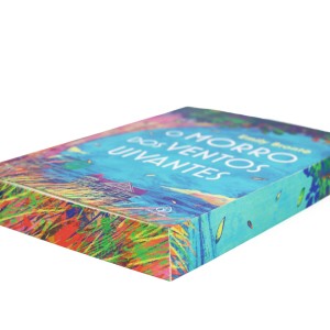 O Morro Dos Ventos Uivantes-9786550973117-78353