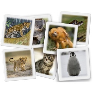 Jogo Da Memoria Memoria Filhotes-128684-15881