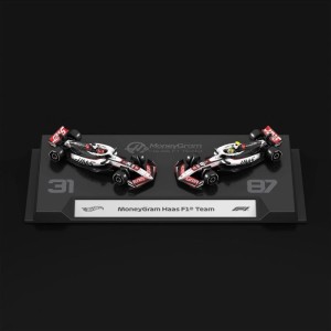 Miniatura 16