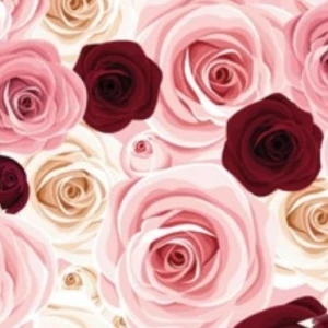 Gl Saq. P/ Pres. 25x35 Perola - 50un - 365 Rosas - única