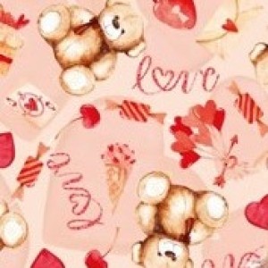 Gl Saq. P/ Pres. 30x45 Perola - 50un - 876 Bear Love - única