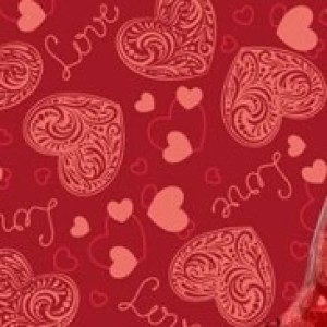 Gl Saq. P/ Pres. 25x35 Metal - 50un - 841 Paixão - única