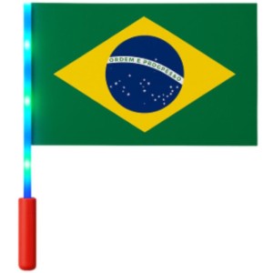 Copa Do Mundo Bandeira Br.hast.mao Led 20x28