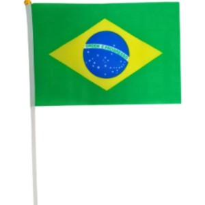 Copa Do Mundo Bandeira Brasil Hast.mao 14x21