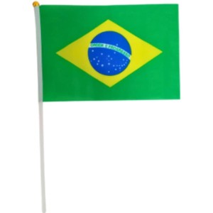 Copa Do Mundo Bandeira Brasil Hast.mao 30x45