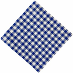 Festa Junina Guardanapo Xadrez Az 16,5x16,5cm-127962-69401