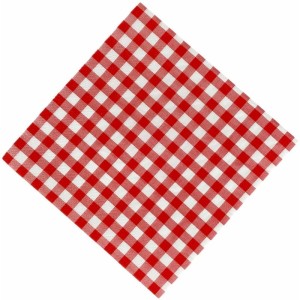Festa Junina Guardanapo Xadrez Vm 16,5x16,5cm-127963-82923