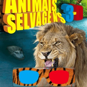 Animais Selvagens 3d-9788538060468