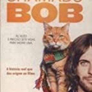 Gato De Rua Chamado Bob