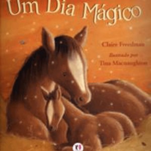 Um Dia Mágico