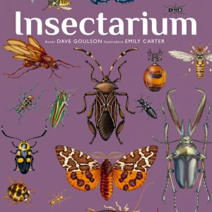 Insectarium