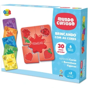 Brinquedo Pedagogico Brincando Com As Cores 30pcs