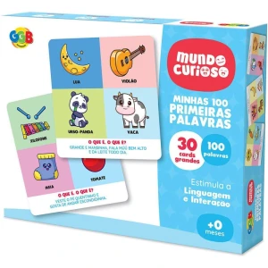 Brinquedo Pedagogico Minhas 100 Primeiras Palavras