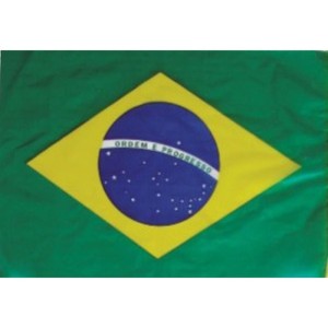 Copa Do Mundo Bandeira Brasil S/hast.30x47cm