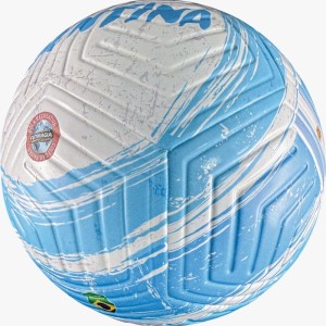Copa Do Mundo Bola Bandeira Argentina N.5-128514-54753
