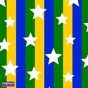 Copa Do Mundo Tnt 1,40m Brasil Estrelas