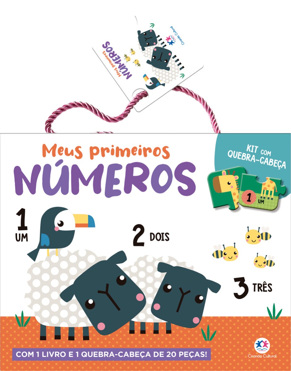 Meus Primeiros Números