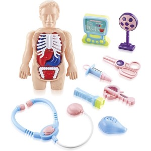 Brincando De Profissoes Doctor Pimpi Corpo Humano