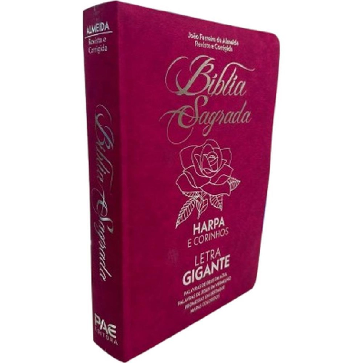 Livro De Leitura Biblia Sagrada Letras Gd.832pg