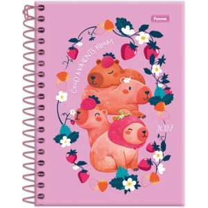 Agenda 2027 Amazzu Esp.160f. 110x154mm