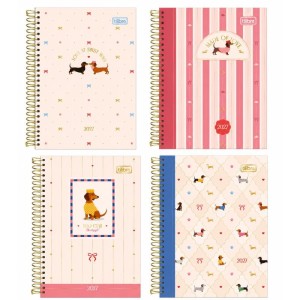 Agenda 2027 Brownie Cd Esp 160f 110x154mm