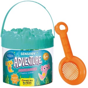 Brinquedo Criativo Cfk Kit Sensorial Adventure