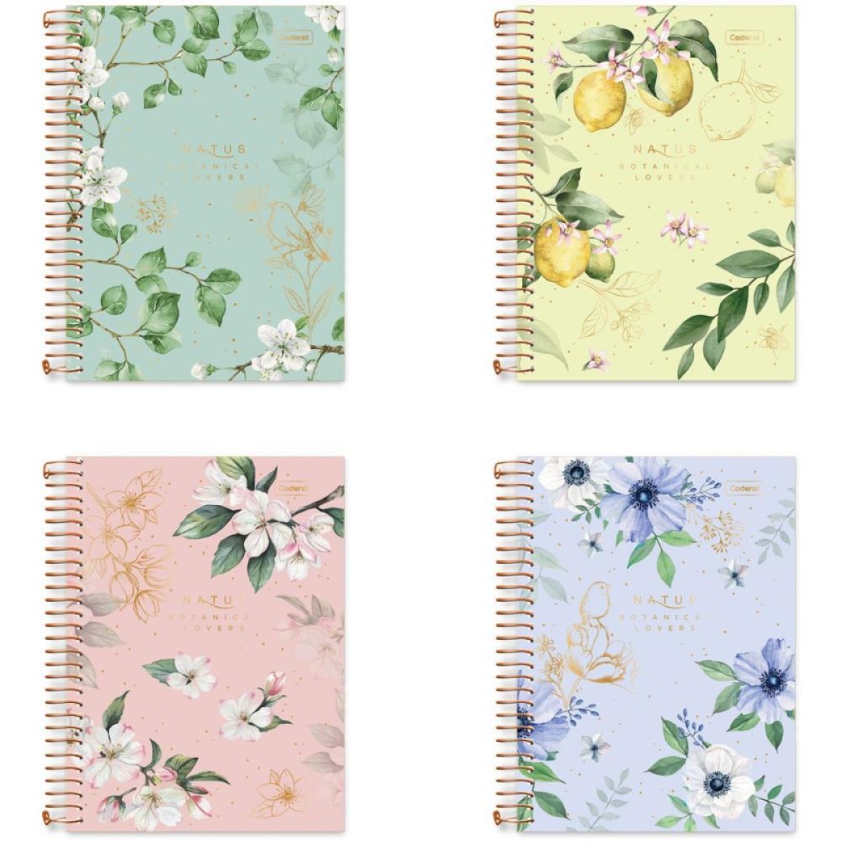 Caderno 01x1 Cp.dura Colegial Natus 80fls