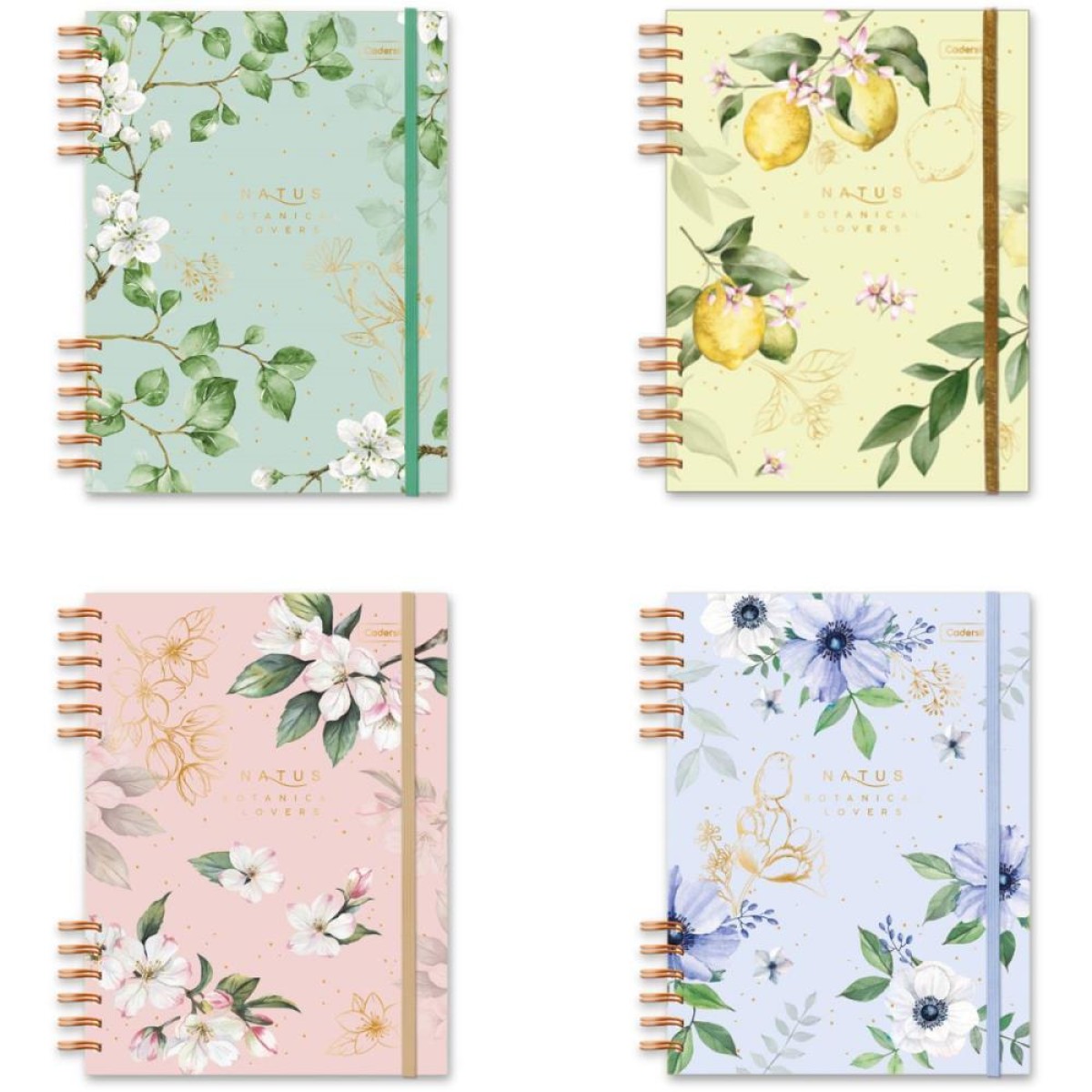 Caderno 01x1 Cp.dura Colegial Natus C/elastico 80fls (s)