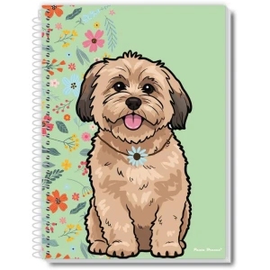 Caderno Espiral 1/4 Capa Dura Aumigos 80fls
