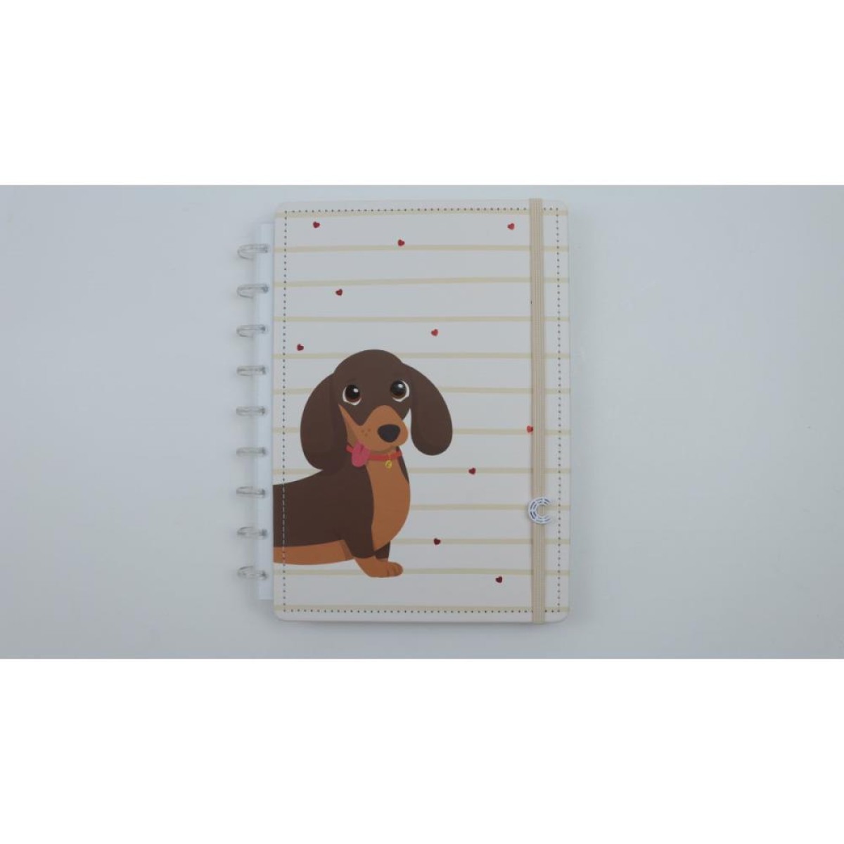 Caderno Inteligente Medio Pets Dolcinho 80fls