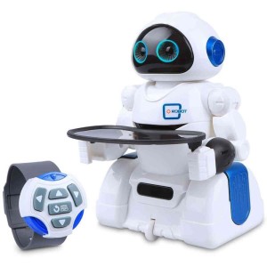 Robo Smart Rc Robot Interativo