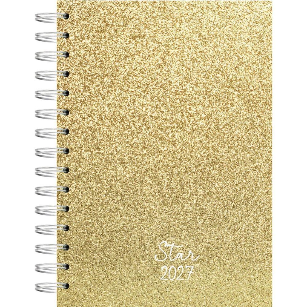 Agenda 2027 Star Esp Cd 14x20cm 160fls Dour.