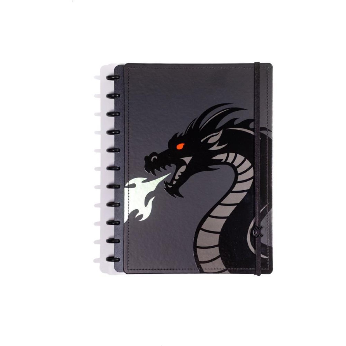 Caderno Inteligente Grande Storm Dragon 80fls 215x280mm.