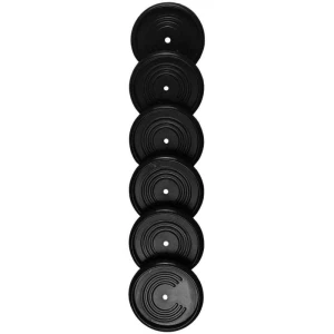Caderno Inteligente Discos Grande 31mm Pto 11discos+elast