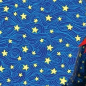 Gl Saq. P/ Pres. 35x53 Metal - 50un - 652 Gold Star