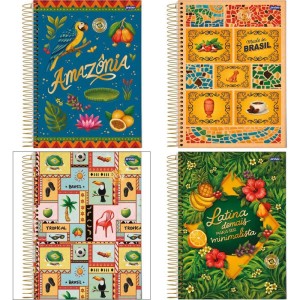 Caderno 01x1 Capa Dura Passaporte Brasil 80fls.
