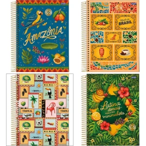 Caderno 01x1 Capa Dura Passaporte Brasil 80fls.