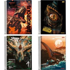 Caderno 01x1 Capa Dura Stone 80fls.