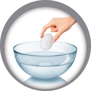 Ovo Com Dinossauro 6 Cm-842275-48540