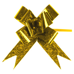 Laço Pronto Shining-837548-27422