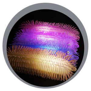 Lagarta Divertida Com Luz-836365-70786