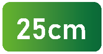 25cm