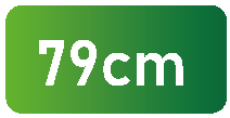79cm