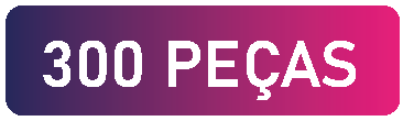 300 PEÇAS