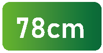78cm