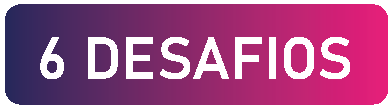 6 DESAFIOS