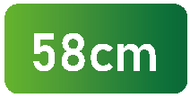 58cm